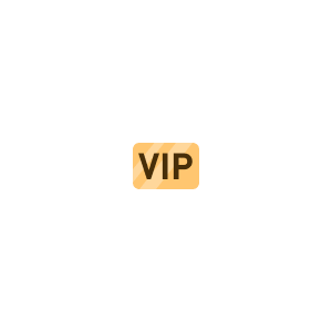 VIP 골드 메탈 뱃지